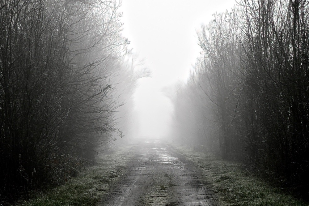 Chemin blanc dans la brume