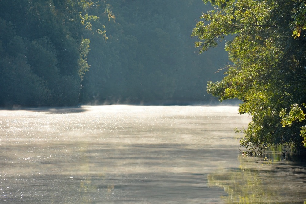 Brume sur la Charente