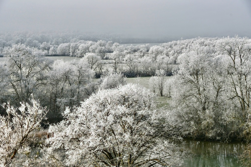 Vallée de la Charente sous le givre
