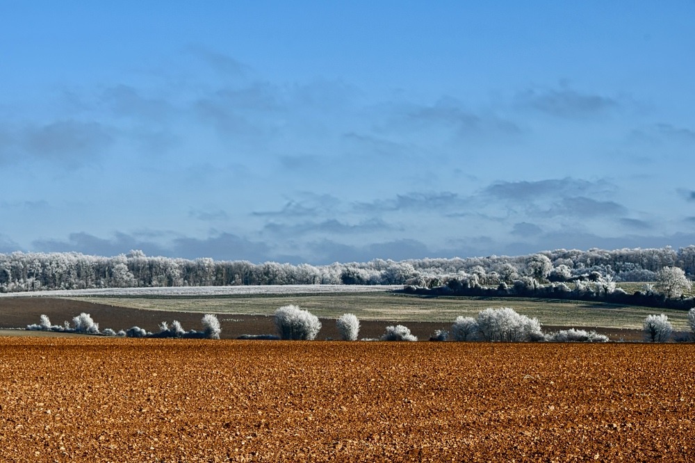 Campagne Saintongeaise givrée