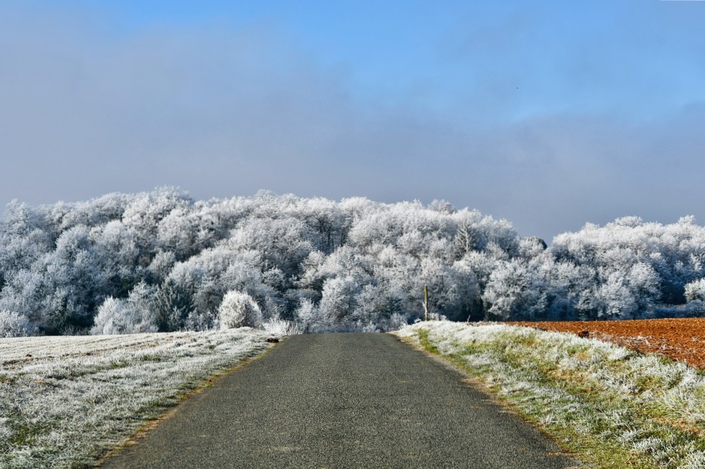 Route jour de givre