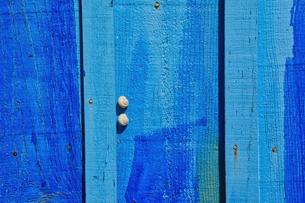 Escargots loving blue